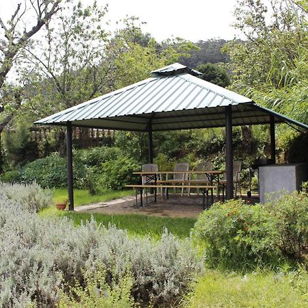 Senani Colonial Holiday Bungalow Нувара-Элия Экстерьер фото