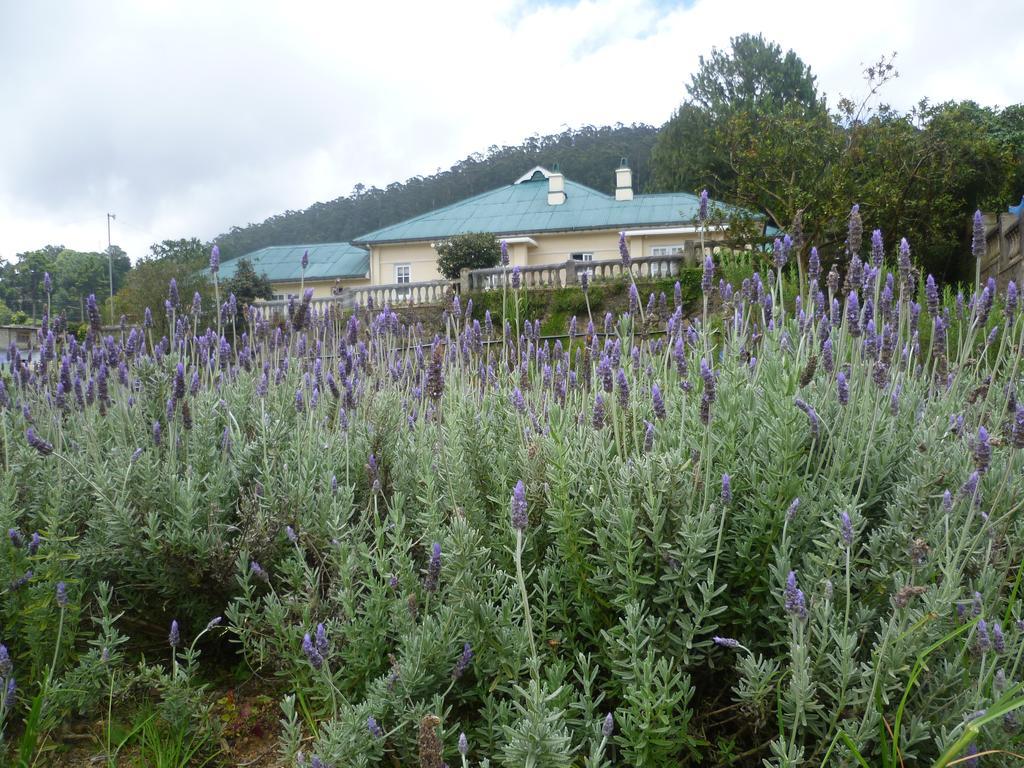 Senani Colonial Holiday Bungalow Нувара-Элия Номер фото